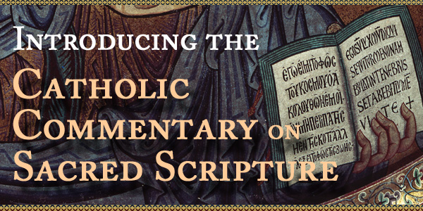 Catholic Commentary On Sacred Scripture 7659